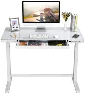 Flexipot Elektrisch Höhenverstellbarer Schreibtisch mit Touch Funktion & USB, Elektrischer Schreibtisch, Glas Tischplatte