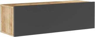 [en. casa] TV Hängeboard Lapinlahti Lowboard Hängeschrank 100 cm TV Board Fernsehtisch Wandregal hängend Eiche rustikal/Anthrazit