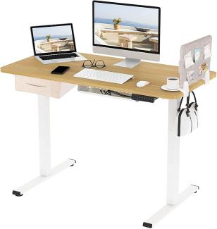 FLEXISPOT Basic Plus 120 x 60 cm elektrischer höhenverstellbarer Schreibtisch, Bedienfeld mit Speicherfunken, Schreibtischtrenner, einfache Montage (Rahmen weiß + Platte Ahorn)