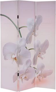 Foto-Paravent T233, Paravent Trennwand FSC-zertifiziert 180x120cm ~ Orchidee