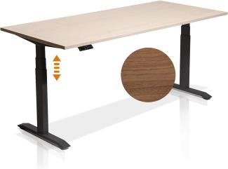 Möbel-Eins OFFICE ONE elektrisch höhenverstellbarer Schreibtisch / Stehtisch, Material Dekorspanplatte schwarz nussbaumfarbig 160 x 80 cm